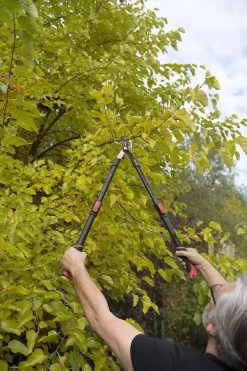 Kreator KRTGR4003 Telescopische Takkenschaar – Jong Hout - Knipdiameter: Ø34 Mm -Tuingereedschap 800x1200 2