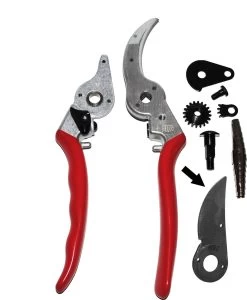 Felco 2 + GRATIS Felco Handschoenen In Cadeauverpakking 9 Felco 2 + GRATIS Felco Handschoenen In Cadeauverpakking -Tuingereedschap 987x1200