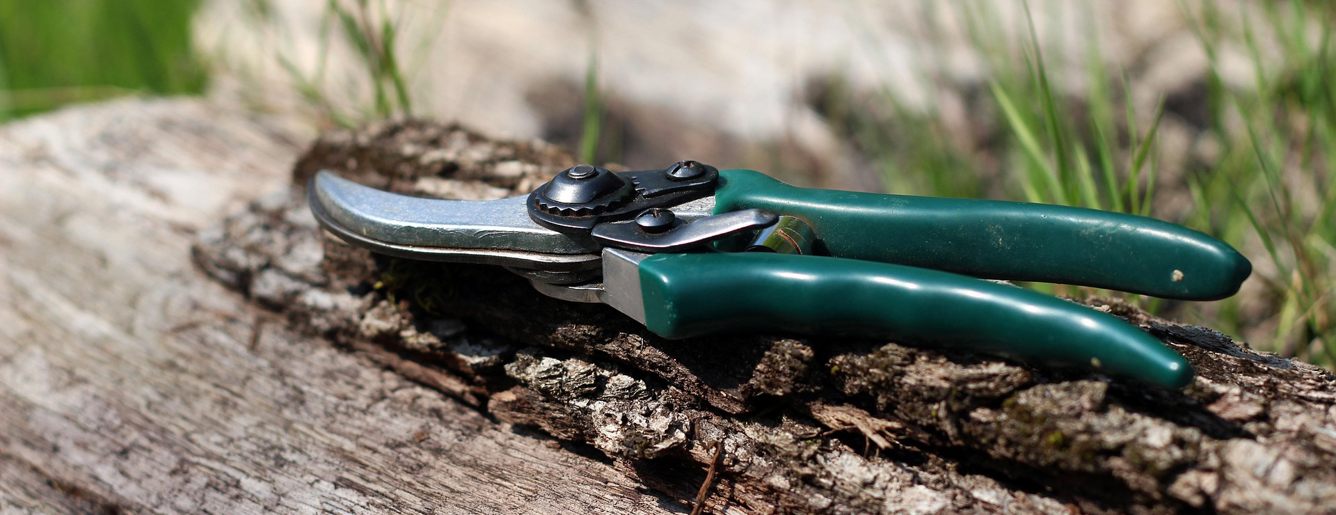 Voorkant -Tuingereedschap shears 1336374 1920